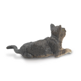 Toymany American Wirehair Cat back view