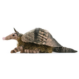 Folkmanis Armadillo Puppet side view