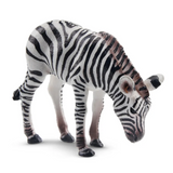 Toymany Zebra Foal