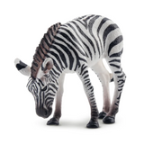 Toymany Zebra Foal