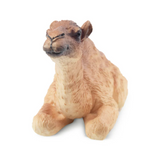 Toymany Camel Calf front details Toymany Camel Calf front details