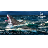 Haolonggood Otodus Megalodon lifestyle