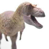 Haolonggood Daspletosaurus Torosus Lu zhi dinosaur model closeup