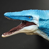 Recur Mosasaurus Hoffmann closeup details Recur Mosasaurus Hoffmann closeup details