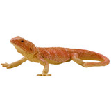 Mojo Bearded Dragon