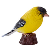 Mojo realistic American Goldfinch replica