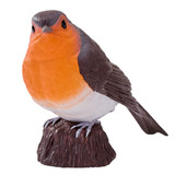 Mojo Robin