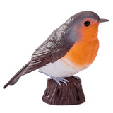 Mojo Robin