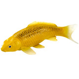 Mojo Koi Carp Kin Matsuba fish figurine Mojo Koi Carp Kin Matsuba fish figurine