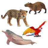 July Box - South American Animals July Box - South American Animals