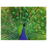 Ravensburger Peacock Puzzle 500pc