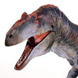 Creative Beast Studio Allosaurus Jimmadseni 1:18 Scale