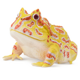 Toymany Argentine Horned Frog Toymany Argentine Horned Frog