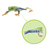 Toymany Red-Eyed Tree Frog Toymany Red-Eyed Tree Frog