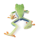 Toymany Red-Eyed Tree Frog Toymany Red-Eyed Tree Frog