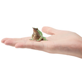 Toymany Darwin's Frog Toymany Darwin's Frog