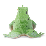 Toymany Darwin's Frog Toymany Darwin's Frog