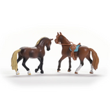Schleich Horse Club "Paso Peruano" Starter Set