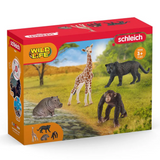Schleich Wildlife Starter Set box packaging