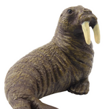Toymany Arctic Walrus Small closeup
