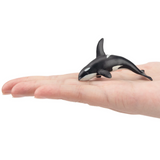 Toymany Killer Whale Small size in hand