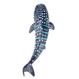 Toymany Whale Shark Small top view Toymany Whale Shark Small top view