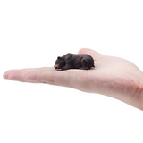 Toymany Brown Bear Sleeping Small size in hand