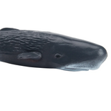 Toymany Sperm Whale Small closeup view