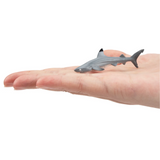 Toymany Blacktip Reef Shark Small size in hand