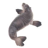 Toymany Seal Small size toy figurine top view