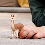 Schleich Alpaca toy figurine lifestyle