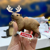 Schleich Capybara toy MiniZoo