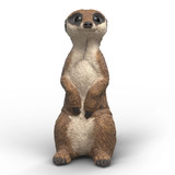 Schleich Meerkat sitting figurine front view