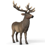 Schleich Wapiti Elk toy figurine 2026