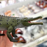 CollectA Colossosuchus Techniensis  Toy fair MiniZoo