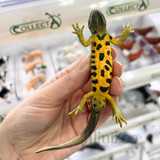 CollectA Great Crested Newt MiniZoo