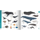 Papo 2025 catalogue sealife