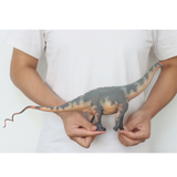 Haolonggood Brontosaurus Grey Du Weng Zhong