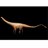 Haolonggood Diplodocus Brown Meng Kang