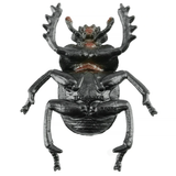 Toymany Dung Beetle toy figurine underneath