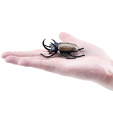 Toymany Five-horned Rhinoceros Beetle toy figurine size in hand
