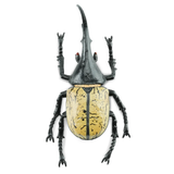 Toymany Hercules Beetle replica toy figurine top view