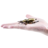 Toymany Golden Stag Beetle