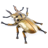 Toymany Golden Stag Beetle