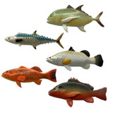 Mini Fish Tropical Fish Set