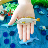 Mini Fish Coastal Fish Set