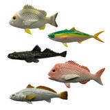 Mini Fish Coastal Fish Set