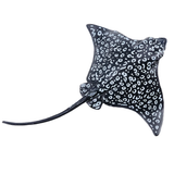 Toymany Spotted Eagle Ray toy figurine top view