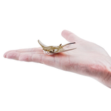 Toymany Cownose Ray