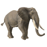 CollectA Wildlife Gift Set African Elephant figurine